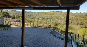 Babbo Rino - Image 4
