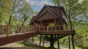 Hilton Grand Vacations Club Branson Cedars Ridgedale - Image 5