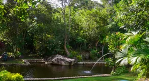 hotel campestre san antonio - Image 4