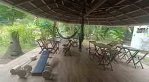 MangoBrazil - Image 5