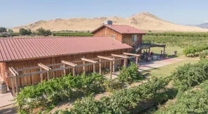 Sequoia View Vineyard - Image 3
