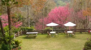 Haowangjiao Homestay - Image 5