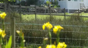 The Swallows Guest House - Image 4
