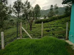 green pleasant stay - Image 5