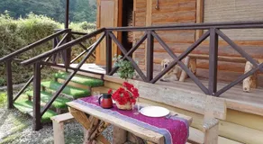 Whistling Thrush Chalet - Image 3