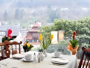Aparthotel Schwarzwald Panorama - Image 3