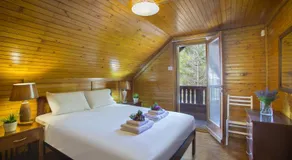 Ricky Chalet Near Troodos - Image 2