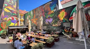 Drunken Monkey Hostel - Image 4