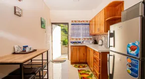 876 JA Oasis by Kingston Airport  - Image 3