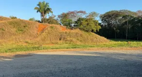 Apartamentos el Bosque - Image 4