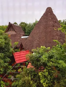 SmithGarden Villa2,  Pondicherry.(With Breakfast) - Image 5