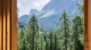 Munt Dolomiti Farm - Image 5