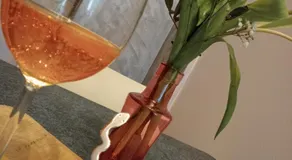 La Mimosa - Image 4