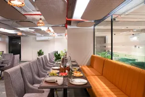 Saltstayz Premier - Naraina, Central Delhi - Image 2