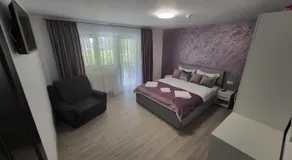 Noblesse Calimanesti - Image 2
