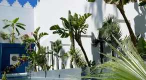 Riad Maison de ville piscine privée - Image 4