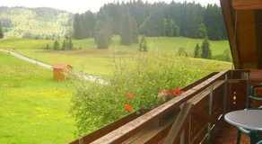 Bergbauernhof Weber - Image 4