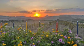 Agriturismo Green Planet - Image 2