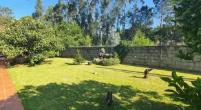 Villa mit privatem Pool, Sauna und Garten | Bergblick - Image 5