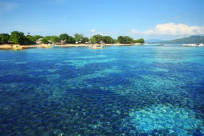 Bunaken Beach Resort New - Image 1