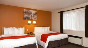 Hotel Robin Hood - Image 4