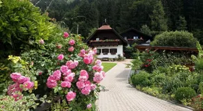 Blumenpension Strauss - Ferienwohnungen - Image 5