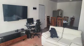 4 Bedroom 4 Bath & Laundry Room Apartment - Image 5