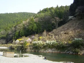 Ashita no Mori - Image 3