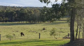 Charolais Cottage - Image 5