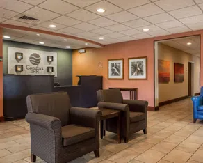 Comfort Inn & Suites Lumberton Central I-95 - Image 3