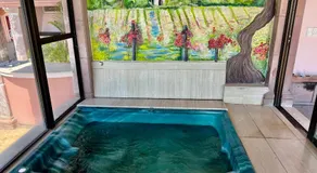 MiraLago Pool Paradise - Image 3