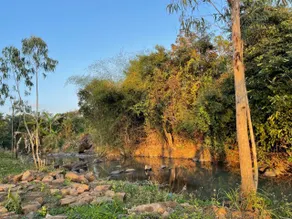 Mộc- Home garden - Image 2
