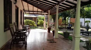 Banana Leaf Garden - Image 4