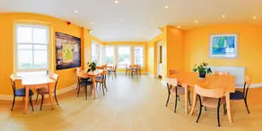 YHA Lizard - Image 4