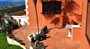 Ferienwohnung 'Casa Victor - 1' mit Meerblick, Pool und WLAN - Image 5