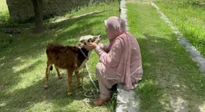 Aman E Yal - Image 4