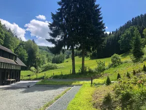 Rückzugsort am Teich in Winterberg - Image 3
