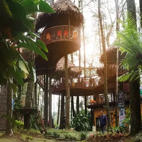 Kopeng Tretop Adventure Park - Image 4