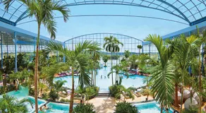 Der Grüne Baum - Image 2