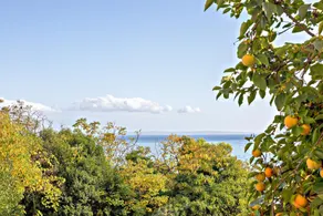 Deluxe Beachfront Apartment Klara, Lovran - Image 5