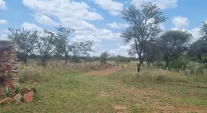 Bush Diamond Lodge - Image 5