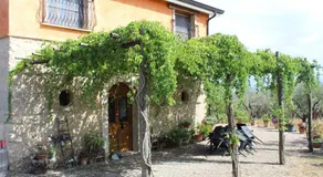 Antico Palmento - Image 3