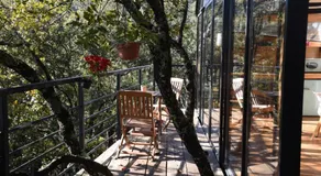 Cabaña Gokotta, Punta del Bosque - Image 5