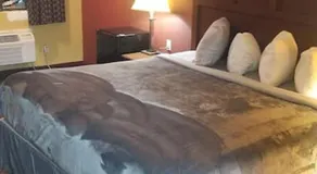 Hotel 2 Queen Beds Hotel Room 205 Wi-Fi - Image 4