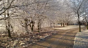 Weston Hill Farm - Image 5