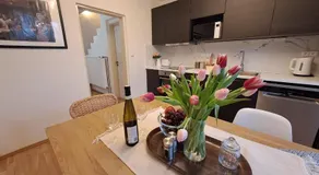Apartmánový dům se zahradou v klidné části Prahy - Image 4