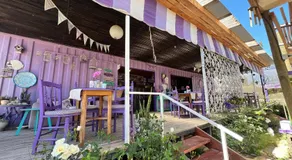 Lavanda del Valle - Image 4