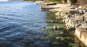 Apartment Overlooking the Sea 360 - Image 4