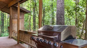 Luxury Cabin Near Lake - Sauna, Cold Plunge, Hot Tub, Fire Pit, & Games - Image 4