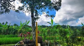 Umaloka Eco Villa - Image 4